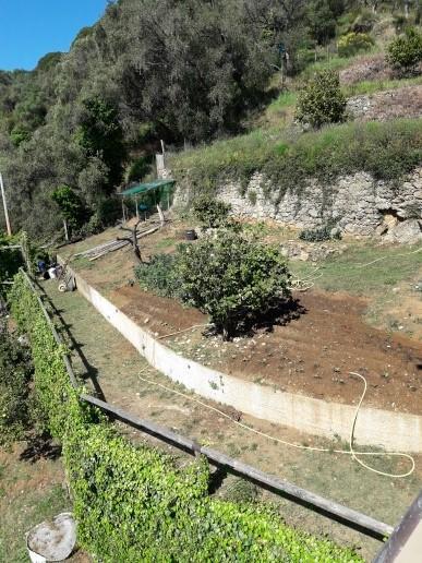 Trekking In Paradise B&B Santa Margherita Ligure Eksteriør bilde